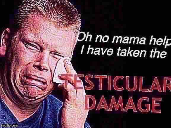 Oh no mama help I have taken the testicular damage | made w/ Imgflip meme maker
