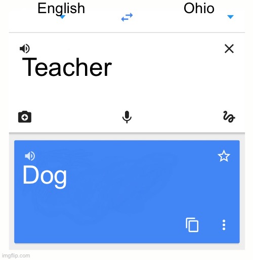 Google Translate | English; Ohio; Teacher; Dog | image tagged in google translate,teacher,dog | made w/ Imgflip meme maker
