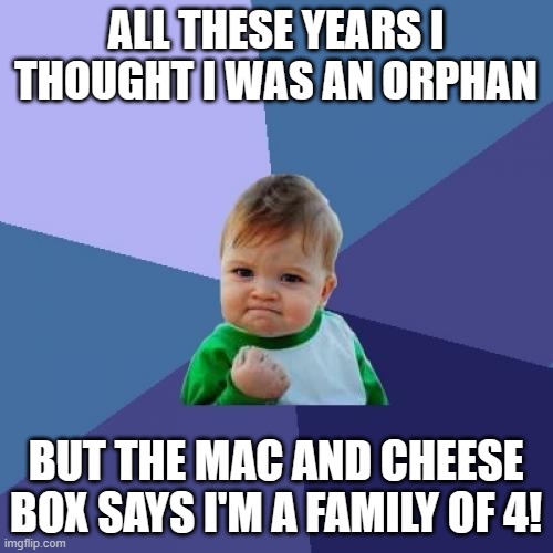 Success Kid Meme | ALL THESE YEARS I THOUGHT I WAS AN ORPHAN; BUT THE MAC AND CHEESE BOX SAYS I'M A FAMILY OF 4! | image tagged in memes,success kid | made w/ Imgflip meme maker