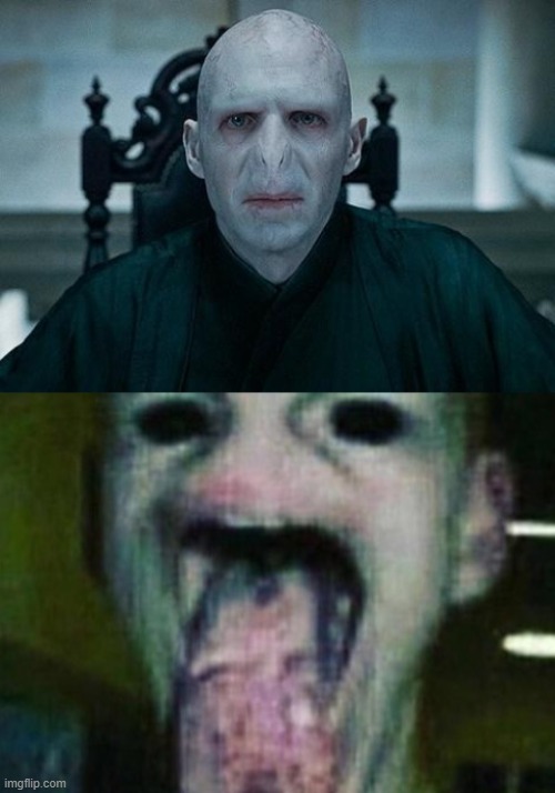 Voldemort suffered drug addiction | image tagged in lord voldemort | made w/ Imgflip meme maker