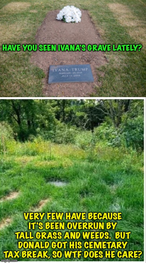 The groundkeeper must have been busy with other stuff.  Like hiding documents. | HAVE YOU SEEN IVANA'S GRAVE LATELY? VERY FEW HAVE BECAUSE IT'S BEEN OVERRUN BY TALL GRASS AND WEEDS.  BUT DONALD GOT HIS CEMETARY TAX BREAK, SO WTF DOES HE CARE? | image tagged in ivana trump's grave | made w/ Imgflip meme maker