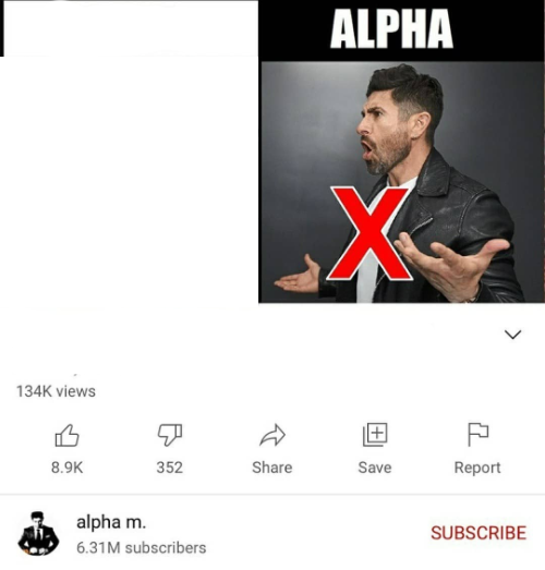 15 signs you're a sigma male is it better than alpha Blank Meme Template