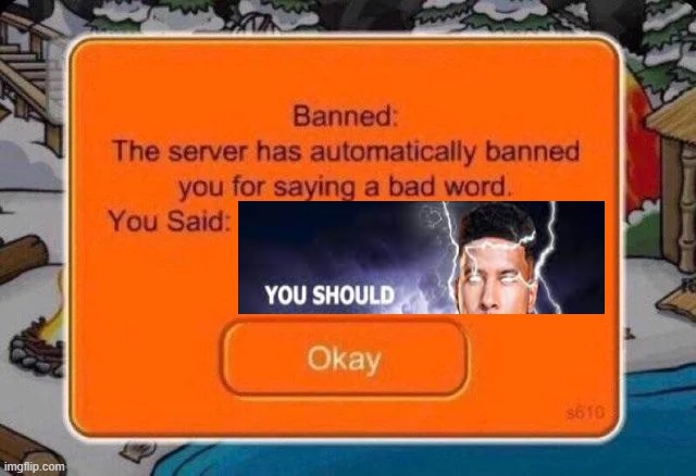 Club penguin ban | image tagged in club penguin ban | made w/ Imgflip meme maker