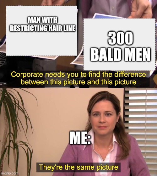 They are the same picture | MAN WITH RESTRICTING HAIR LINE; 300 BALD MEN; ME: | image tagged in memes,funny memes | made w/ Imgflip meme maker