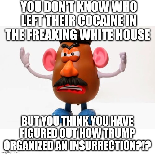 Mr. Potato Head angry | YOU DON'T KNOW WHO LEFT THEIR COCAINE IN THE FREAKING WHITE HOUSE; BUT YOU THINK YOU HAVE FIGURED OUT HOW TRUMP ORGANIZED AN INSURRECTION?!? | image tagged in mr potato head angry | made w/ Imgflip meme maker