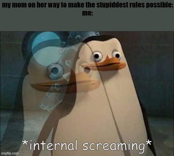 dude | my mom on her way to make the stupiddest rules possible:
me: | image tagged in private internal screaming,funny memes,internal screaming | made w/ Imgflip meme maker