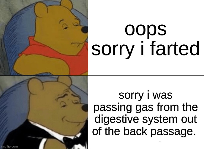 Tuxedo Winnie The Pooh | oops sorry i farted; sorry i was passing gas from the digestive system out of the back passage. | image tagged in memes,tuxedo winnie the pooh | made w/ Imgflip meme maker