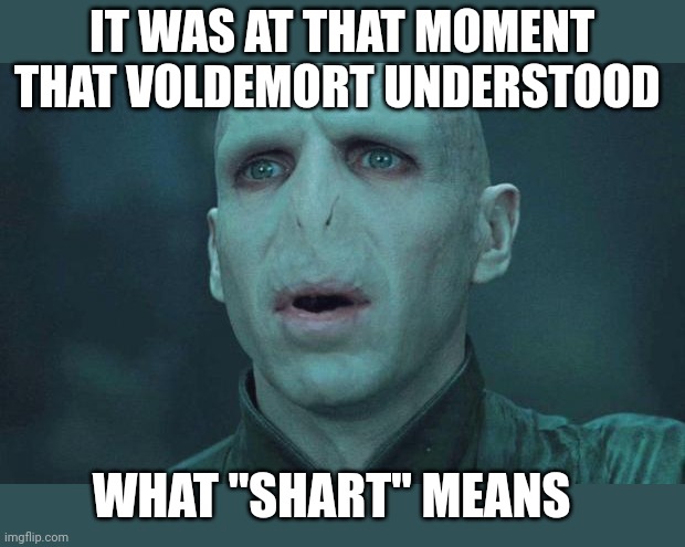 Voldemort | IT WAS AT THAT MOMENT THAT VOLDEMORT UNDERSTOOD; WHAT "SHART" MEANS | image tagged in voldemort | made w/ Imgflip meme maker