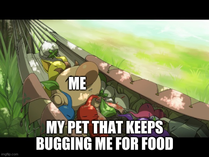 pikpikmememe | ME; MY PET THAT KEEPS BUGGING ME FOR FOOD | image tagged in olimar pikmin | made w/ Imgflip meme maker