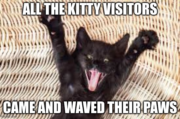 *arctic monkeys joke here* | ALL THE KITTY VISITORS; CAME AND WAVED THEIR PAWS | image tagged in cats,music | made w/ Imgflip meme maker
