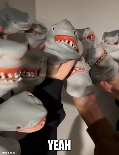 Yeah.mp3 | YEAH | image tagged in shark puppet army | made w/ Imgflip meme maker