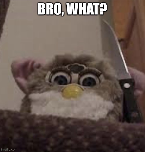 Furby delete this | BRO, WHAT? | image tagged in furby delete this | made w/ Imgflip meme maker