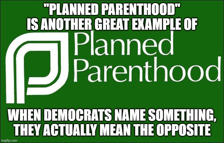 planned parenthood | "PLANNED PARENTHOOD" IS ANOTHER GREAT EXAMPLE OF WHEN DEMOCRATS NAME SOMETHING, THEY ACTUALLY MEAN THE OPPOSITE | image tagged in planned parenthood | made w/ Imgflip meme maker