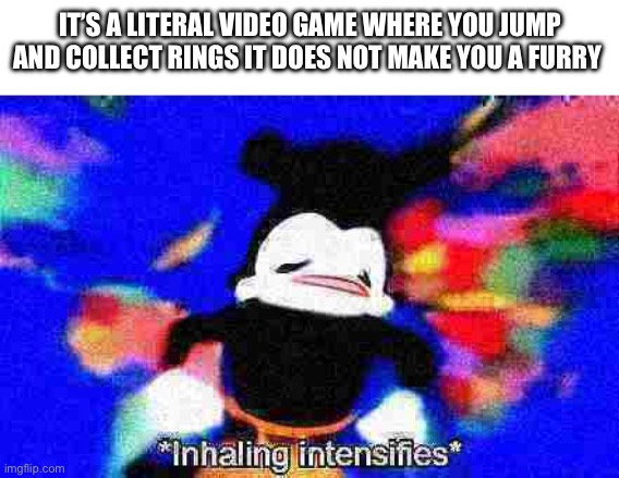Inhaling intensifies | IT’S A LITERAL VIDEO GAME WHERE YOU JUMP AND COLLECT RINGS IT DOES NOT MAKE YOU A FURRY | image tagged in inhaling intensifies | made w/ Imgflip meme maker