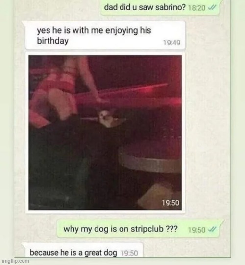 (Mod Note: What The Dog Doin?) - Imgflip