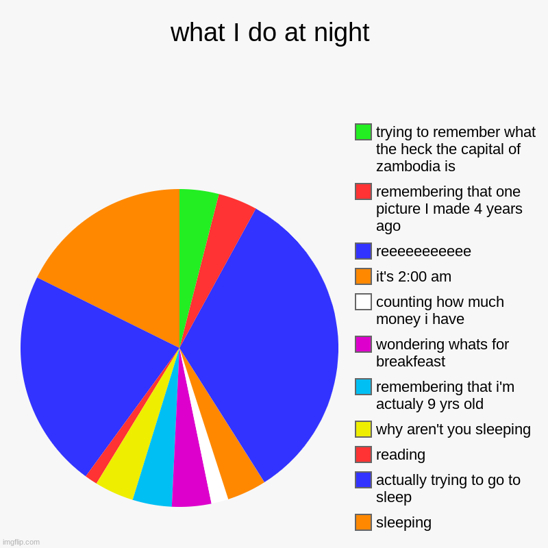 what I do at night | sleeping, actually trying to go to sleep, reading, why aren't you sleeping, remembering that i'm actualy 9 yrs old, won | image tagged in charts,pie charts | made w/ Imgflip chart maker