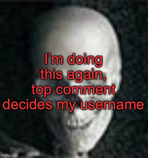 . | I’m doing this again, top comment decides my username | image tagged in skull | made w/ Imgflip meme maker