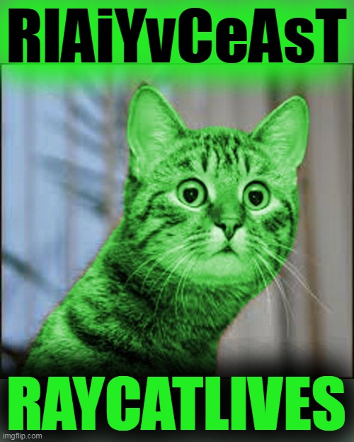RayCat WTF | RlAiYvCeAsT RAYCATLIVES | image tagged in raycat wtf | made w/ Imgflip meme maker