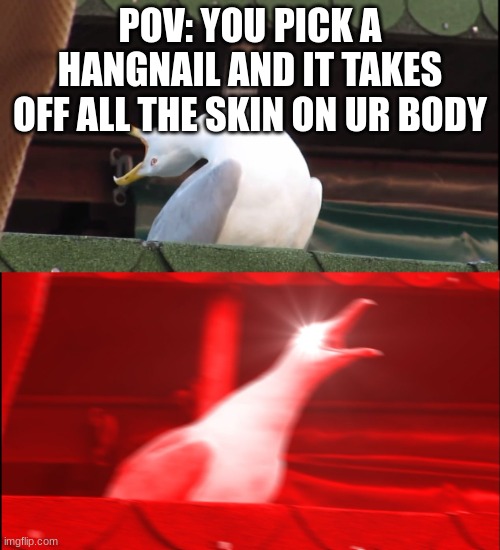 bro not the hangnail | POV: YOU PICK A HANGNAIL AND IT TAKES OFF ALL THE SKIN ON UR BODY | image tagged in screaming bird | made w/ Imgflip meme maker