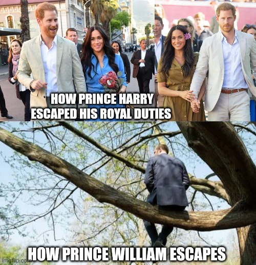 Royal differences | HOW PRINCE HARRY ESCAPED HIS ROYAL DUTIES; HOW PRINCE WILLIAM ESCAPES | image tagged in royal family,prince harry,prince william,funny memes,memes | made w/ Imgflip meme maker