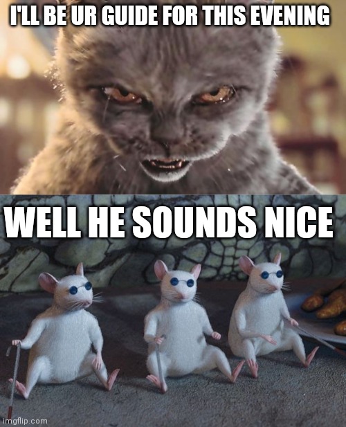 I'LL BE UR GUIDE FOR THIS EVENING; WELL HE SOUNDS NICE | image tagged in evil cat,three blind mice | made w/ Imgflip meme maker