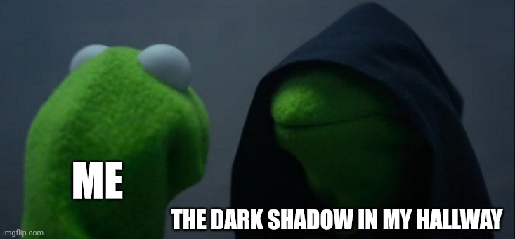 There's a dark shadow in my hallway | ME; THE DARK SHADOW IN MY HALLWAY | image tagged in memes,evil kermit | made w/ Imgflip meme maker