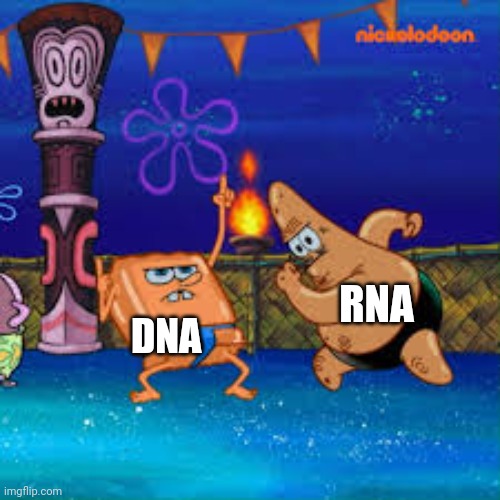 DNA and RNA partying at 2:45 am | RNA; DNA | image tagged in tan spongebob,science | made w/ Imgflip meme maker