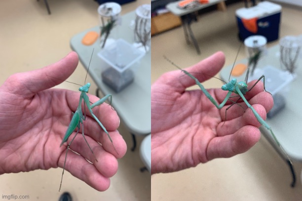 Dude tried climbing on the camera | made w/ Imgflip meme maker