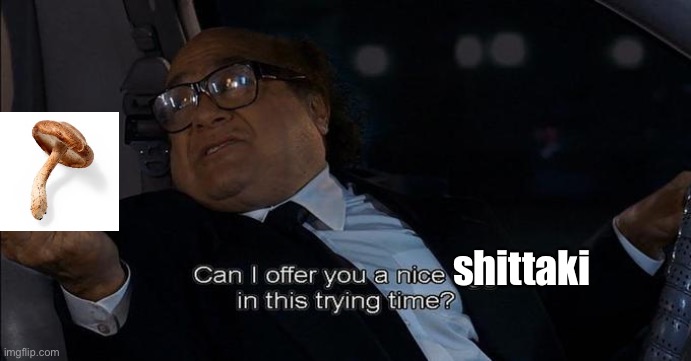 can i offer you a nice egg in this trying time | shittaki | image tagged in can i offer you a nice egg in this trying time | made w/ Imgflip meme maker
