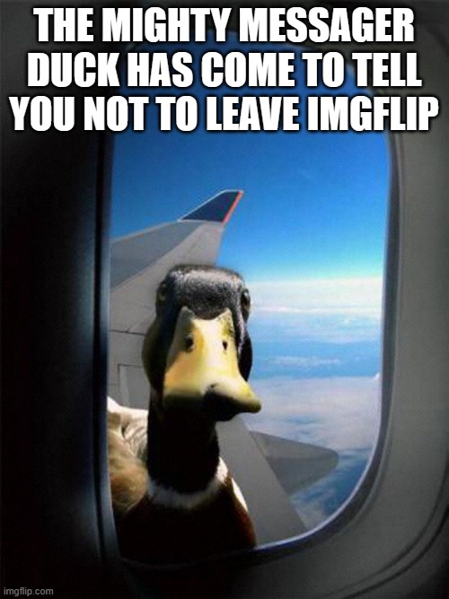 Airplane Duck | THE MIGHTY MESSAGER DUCK HAS COME TO TELL YOU NOT TO LEAVE IMGFLIP | image tagged in airplane duck | made w/ Imgflip meme maker