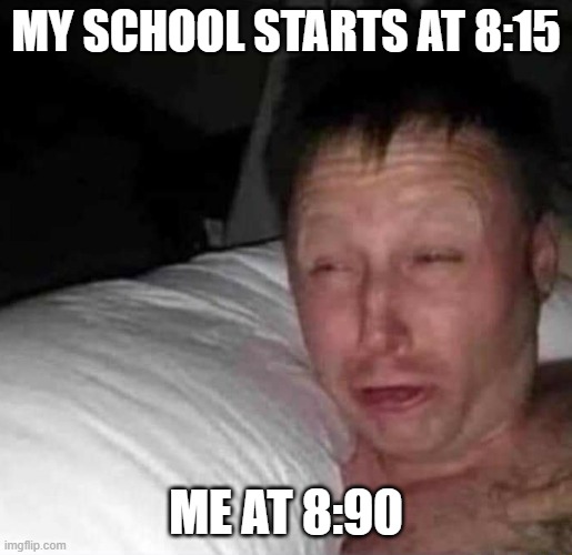 SLEEE4EEEEPPPP | MY SCHOOL STARTS AT 8:15; ME AT 8:90 | image tagged in sleepy guy | made w/ Imgflip meme maker