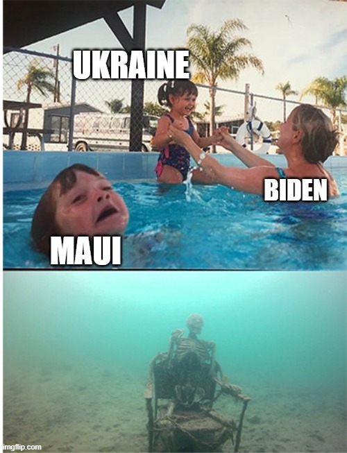 child drowning in pool | UKRAINE; BIDEN; MAUI | image tagged in child drowning in pool | made w/ Imgflip meme maker