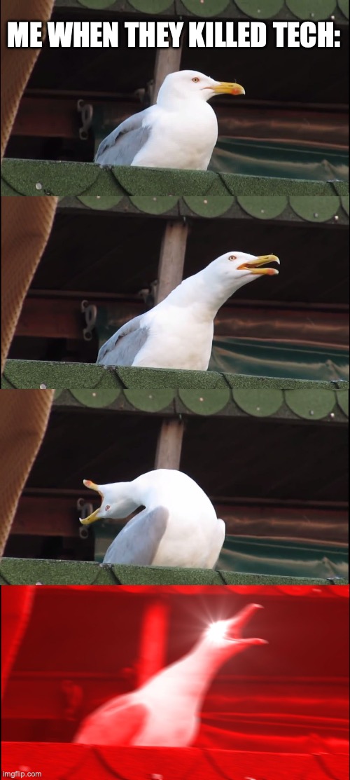 Lol my family can vouch for me | ME WHEN THEY KILLED TECH: | image tagged in memes,inhaling seagull | made w/ Imgflip meme maker