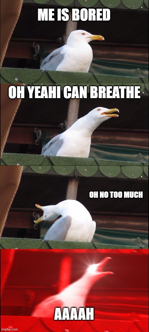 Inhaling Seagull | ME IS BORED; OH YEAHI CAN BREATHE; OH NO TOO MUCH; AAAAH | image tagged in memes,inhaling seagull | made w/ Imgflip meme maker