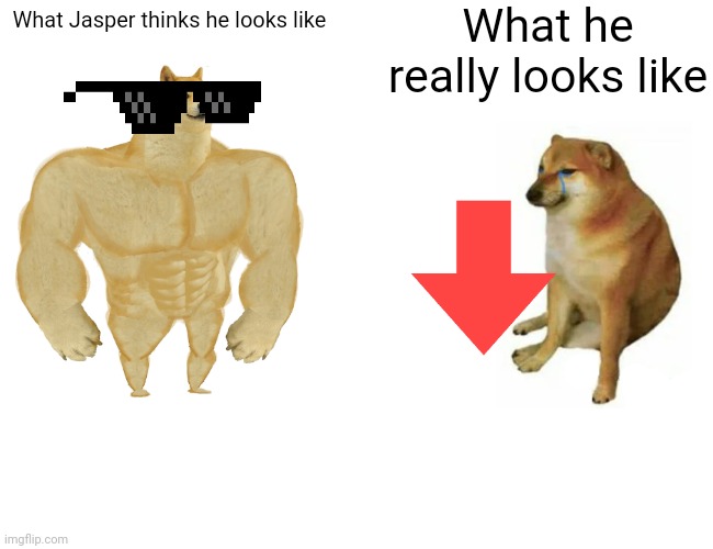 Buff Doge vs. Cheems | What he really looks like; What Jasper thinks he looks like | image tagged in memes,buff doge vs cheems | made w/ Imgflip meme maker