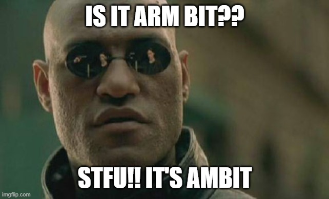 AMBIT | IS IT ARM BIT?? STFU!! IT'S AMBIT | image tagged in memes,matrix morpheus | made w/ Imgflip meme maker