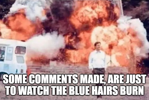 Al to Bat Paraph | SOME COMMENTS MADE, ARE JUST
TO WATCH THE BLUE HAIRS BURN | image tagged in alfred,batman,red pill blue pill,liberals,comment section,triggered | made w/ Imgflip meme maker