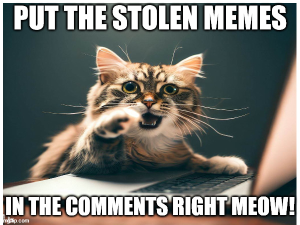 Stolen Meme Cat | PUT THE STOLEN MEMES; IN THE COMMENTS RIGHT MEOW! | image tagged in funny,ai meme,stolen memes | made w/ Imgflip meme maker