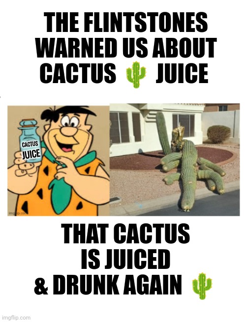 JUICED | THE FLINTSTONES WARNED US ABOUT CACTUS 🌵 JUICE; CACTUS; JUICE; THAT CACTUS IS JUICED & DRUNK AGAIN 🌵 | image tagged in cactus,juice | made w/ Imgflip meme maker