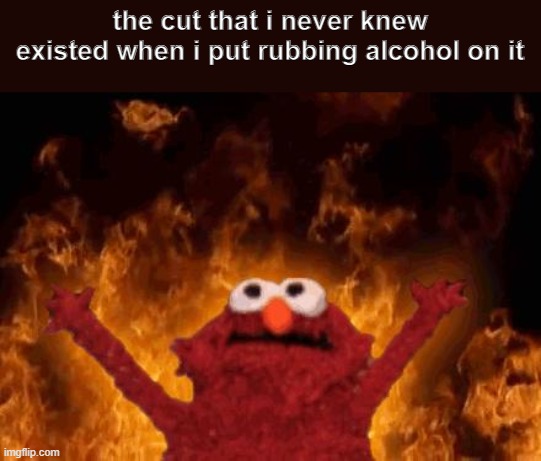 elmo maligno | the cut that i never knew existed when i put rubbing alcohol on it | image tagged in elmo maligno | made w/ Imgflip meme maker
