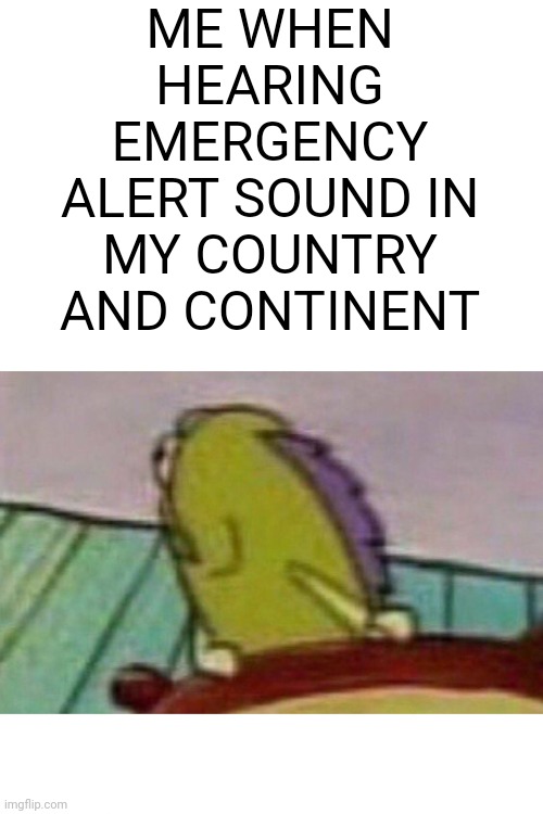 Fish looking back | ME WHEN HEARING EMERGENCY ALERT SOUND IN MY COUNTRY AND CONTINENT | image tagged in fish looking,eas alarm | made w/ Imgflip meme maker