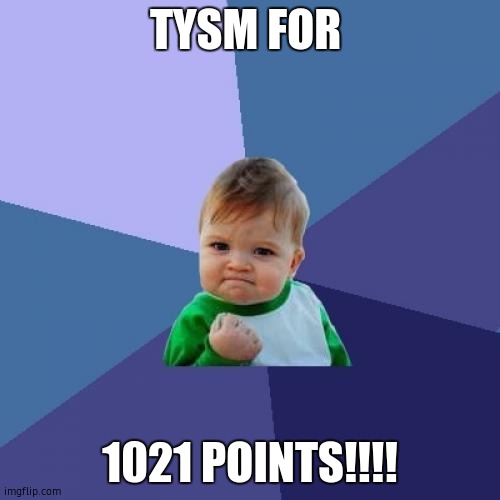 Success Kid Meme | TYSM FOR; 1021 POINTS!!!! | image tagged in memes,success kid | made w/ Imgflip meme maker