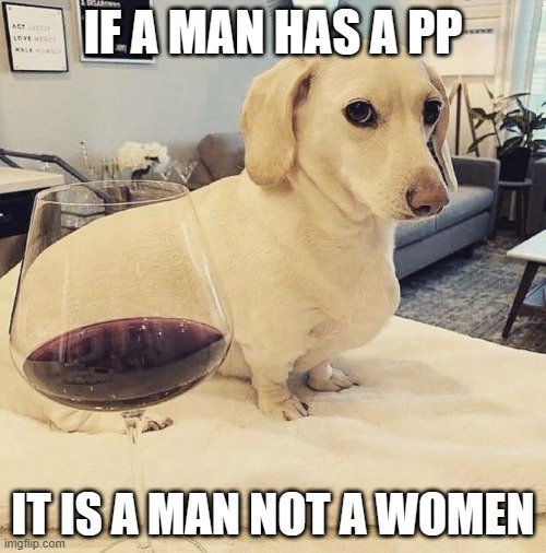 transphobic dog | IF A MAN HAS A PP; IT IS A MAN NOT A WOMEN | image tagged in homophobic dog | made w/ Imgflip meme maker