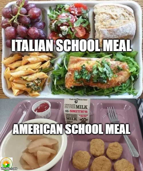 politics | ITALIAN SCHOOL MEAL; AMERICAN SCHOOL MEAL | image tagged in political meme | made w/ Imgflip meme maker