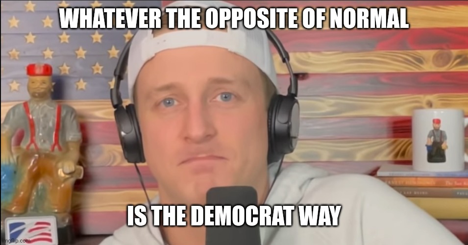 TYLER ZED FROWN | WHATEVER THE OPPOSITE OF NORMAL IS THE DEMOCRAT WAY | image tagged in tyler zed frown | made w/ Imgflip meme maker