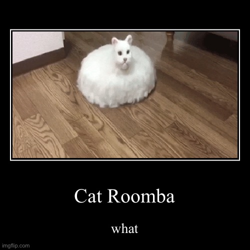 Cat Roomba | Cat Roomba | what | image tagged in funny,demotivationals | made w/ Imgflip demotivational maker