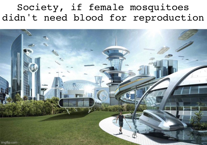 They are essential for pollination, but why suck someone's blood? | Society, if female mosquitoes didn't need blood for reproduction | image tagged in society if,mosquito | made w/ Imgflip meme maker
