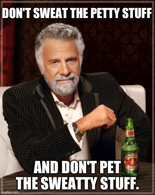 Advice | DON'T SWEAT THE PETTY STUFF; AND DON'T PET THE SWEATTY STUFF. | image tagged in memes,the most interesting man in the world | made w/ Imgflip meme maker