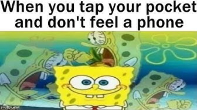 Does anyone know where my phone is | image tagged in memes,funny,phone,true,panic | made w/ Imgflip meme maker