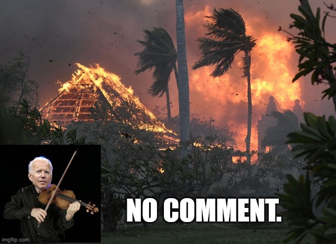 While Maui Burns | NO COMMENT. | image tagged in biden,maui,fire,violin | made w/ Imgflip meme maker